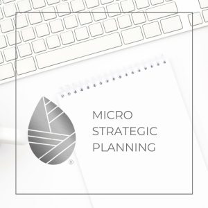 Micro Strategic Planning